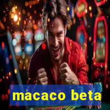 macaco beta