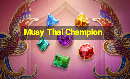 Muay Thai Champion