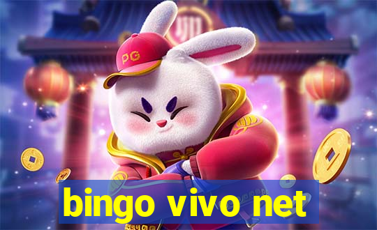 bingo vivo net