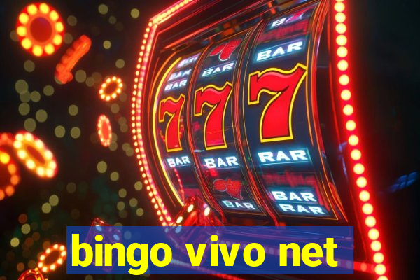 bingo vivo net