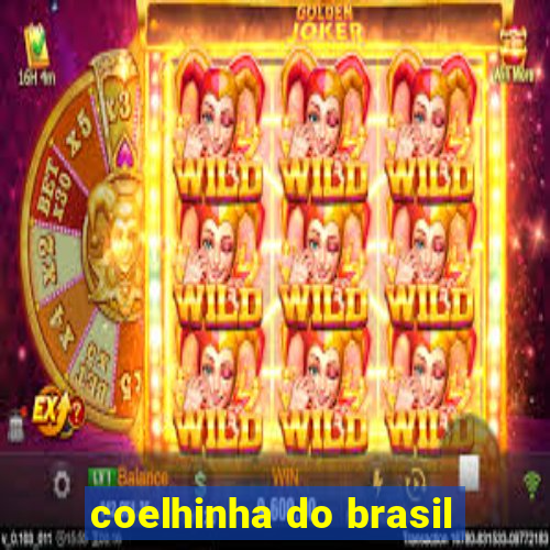 coelhinha do brasil