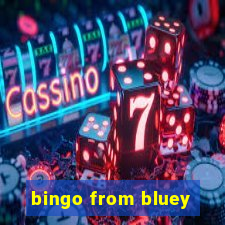 bingo from bluey