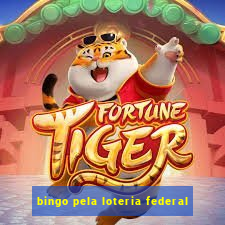 bingo pela loteria federal