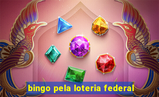 bingo pela loteria federal