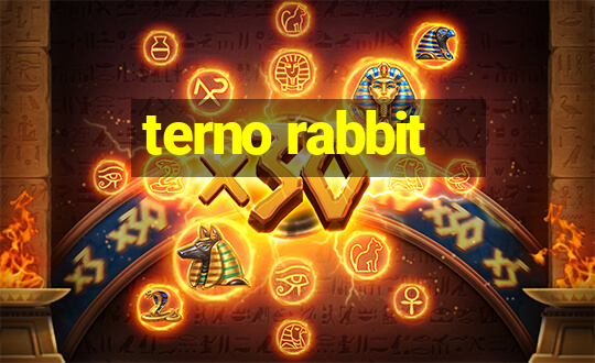 terno rabbit