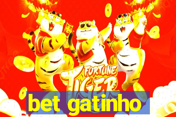 bet gatinho