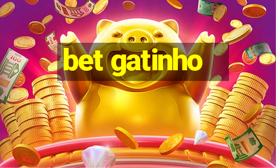 bet gatinho