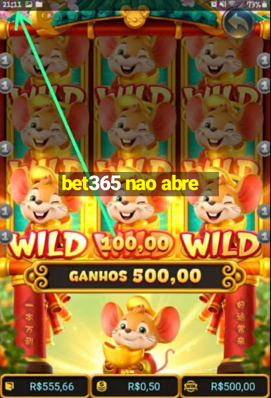 bet365 nao abre