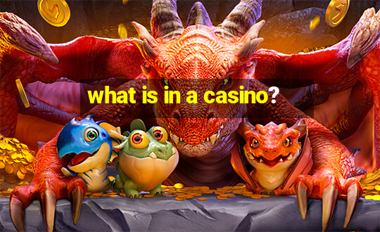 what is in a casino?