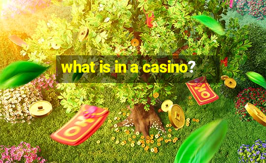 what is in a casino?