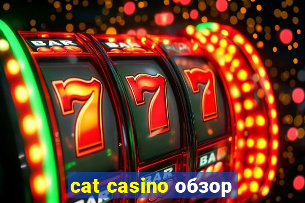 cat casino обзор