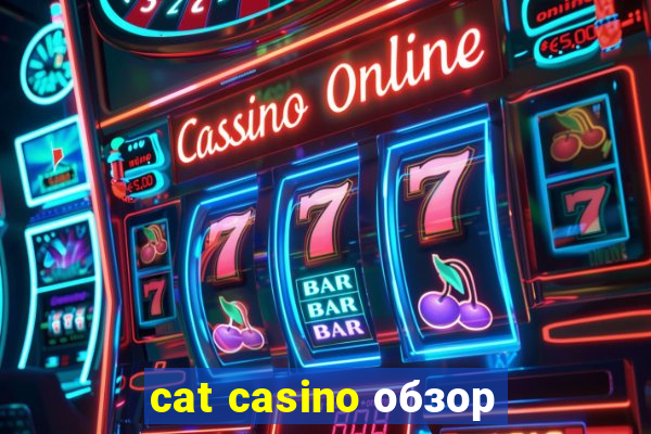 cat casino обзор