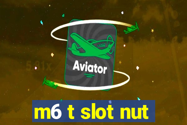 m6 t slot nut