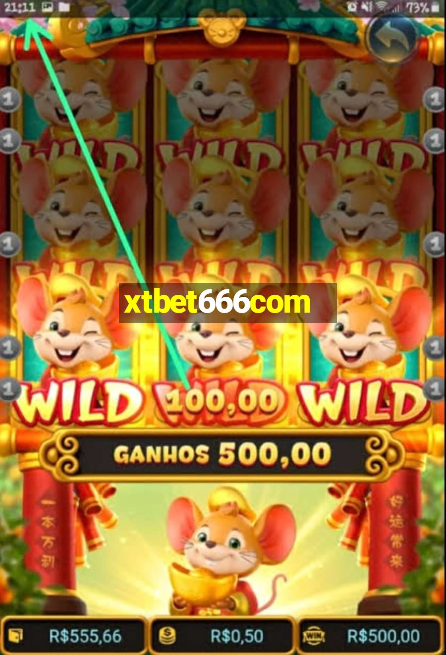 xtbet666com