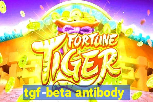 tgf-beta antibody