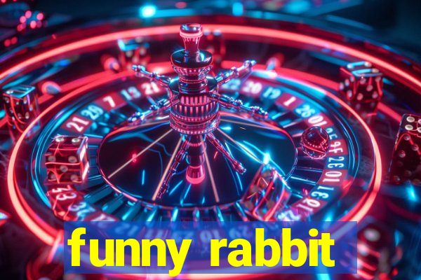 funny rabbit