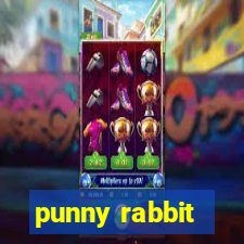 punny rabbit