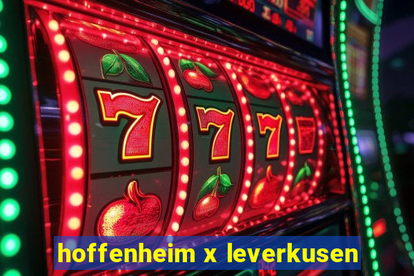 hoffenheim x leverkusen