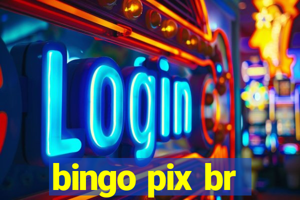 bingo pix br