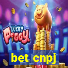 bet cnpj