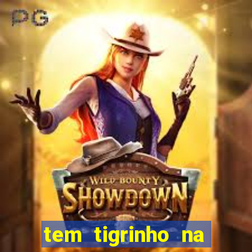 tem tigrinho na bet 365