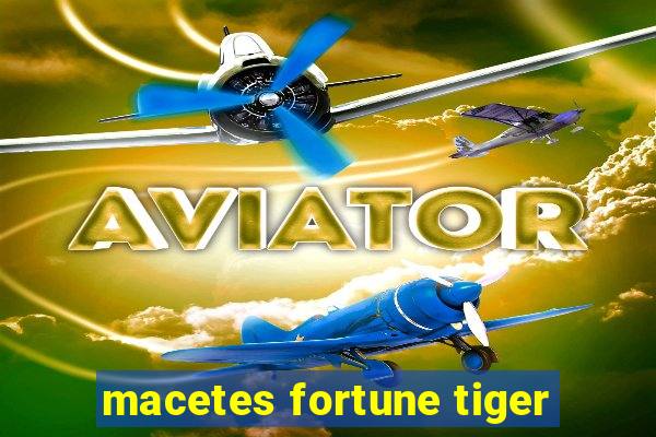 macetes fortune tiger