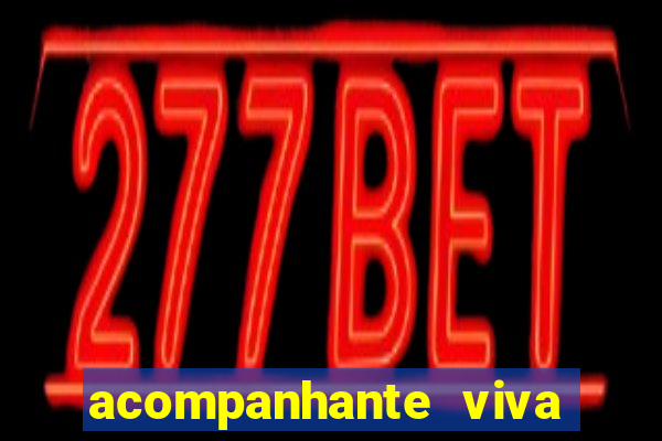 acompanhante viva local baixada fluminense