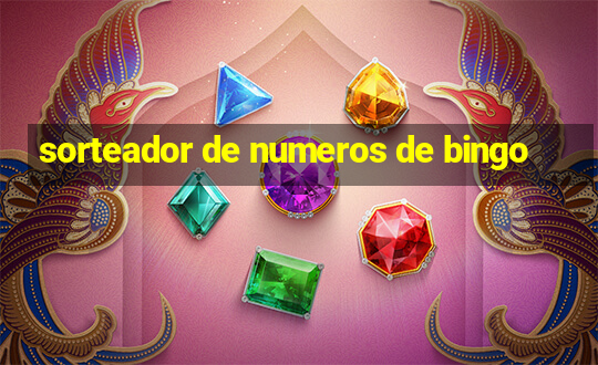 sorteador de numeros de bingo