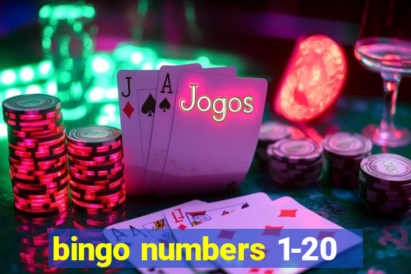 bingo numbers 1-20