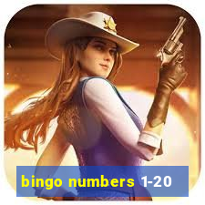 bingo numbers 1-20