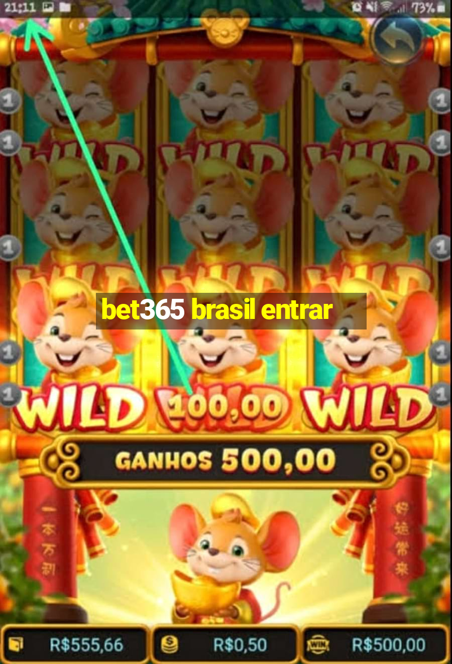 bet365 brasil entrar