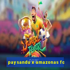 paysandu x amazonas fc