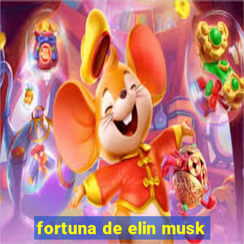 fortuna de elin musk