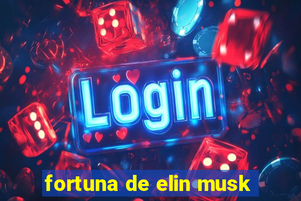 fortuna de elin musk