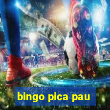 bingo pica pau