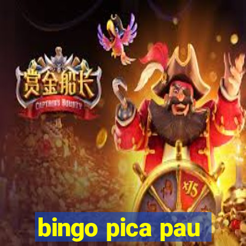 bingo pica pau