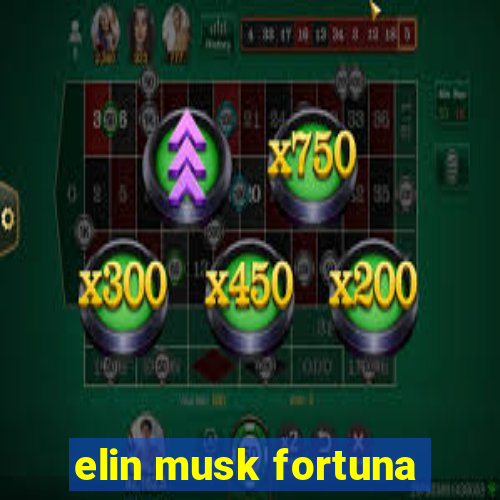 elin musk fortuna