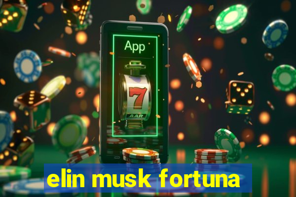 elin musk fortuna