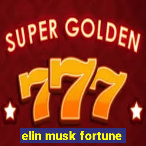 elin musk fortune