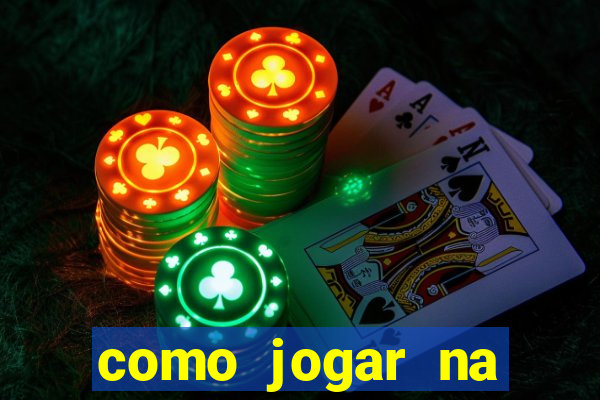 como jogar na lotinha do jogo do bicho