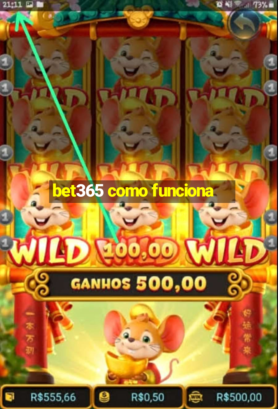 bet365 como funciona