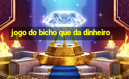 jogo do bicho que da dinheiro