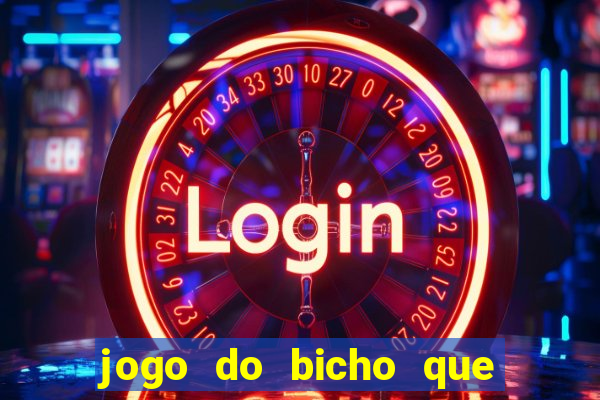 jogo do bicho que da dinheiro