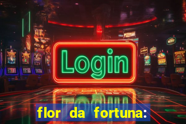 flor da fortuna: como cuidar