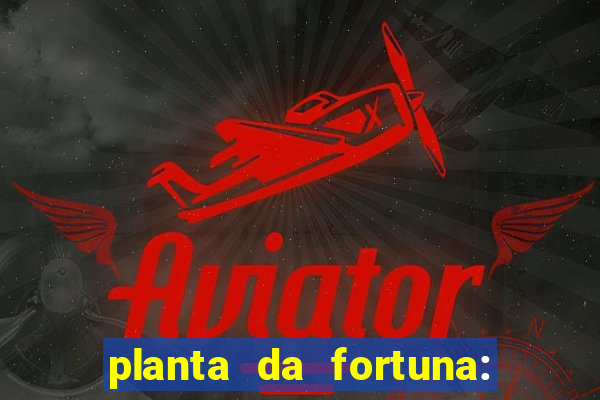 planta da fortuna: como cuidar