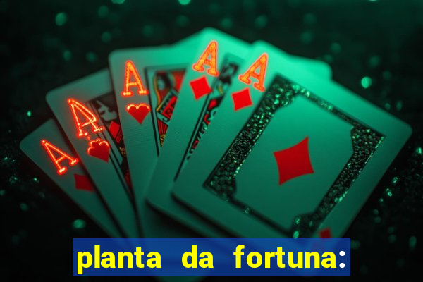 planta da fortuna: como cuidar