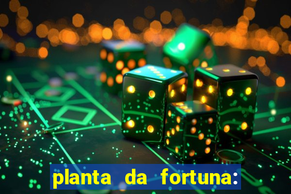 planta da fortuna: como cuidar