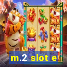 m.2 slot e