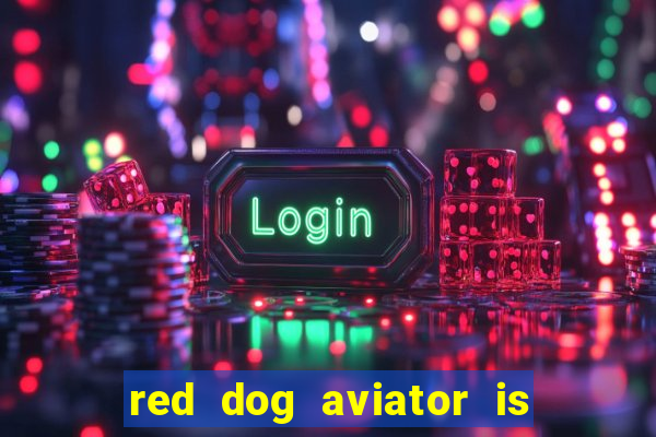 red dog aviator is real or fake