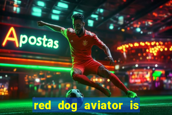 red dog aviator is real or fake